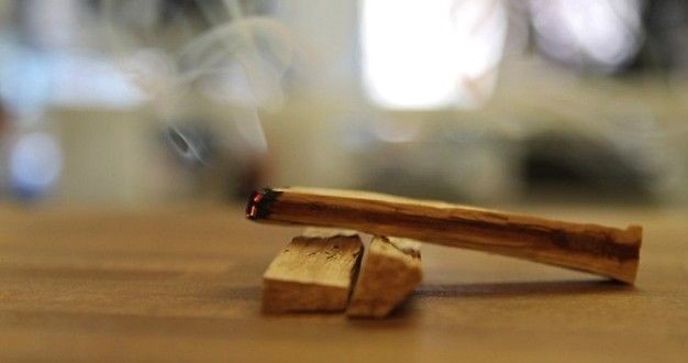 PALO SANTO