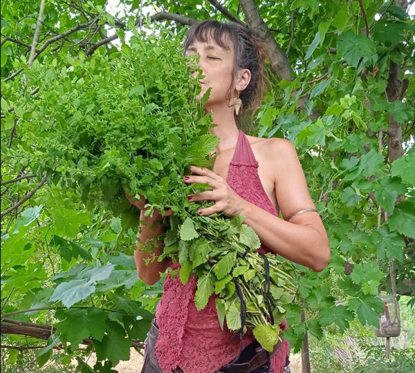 SOLSTICIO DE VERANO Y MAGIA HERBAL.